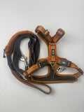 Dog Copenhaguen S Walk air orange + Laisse Urban trail