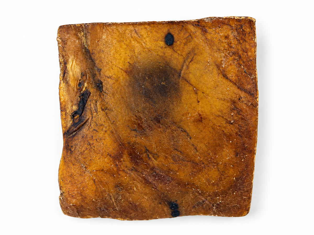 Plaque de peau de chameau - 20cm par 20cm Seconde Patte