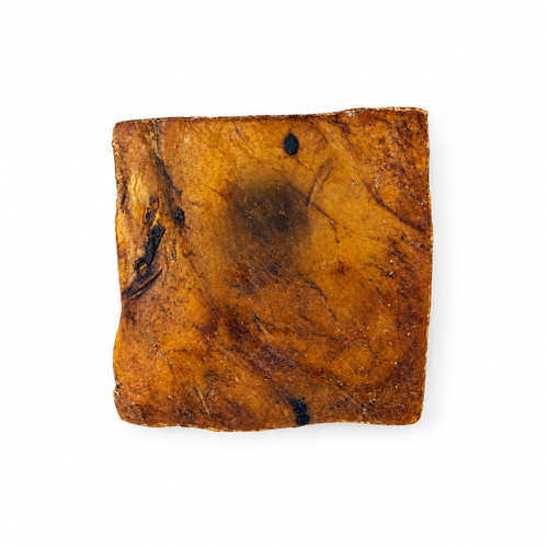 Plaque de peau de chameau - 20cm par 20cm Seconde Patte