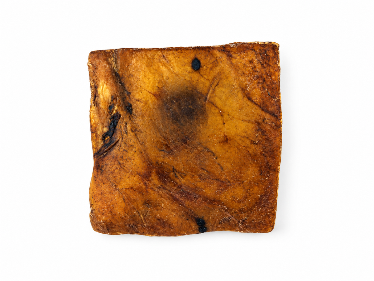 Plaque de peau de chameau - 20cm Seconde Patte