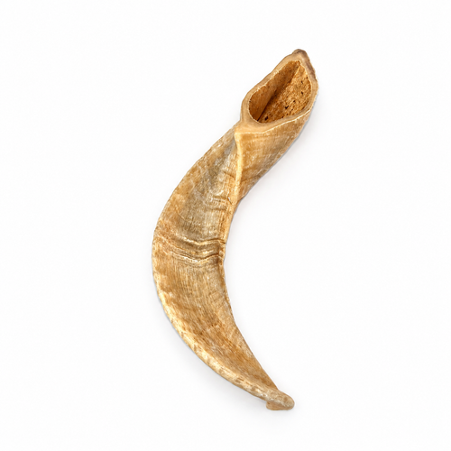 Corne de mouton naturelle - L / XL Seconde Patte