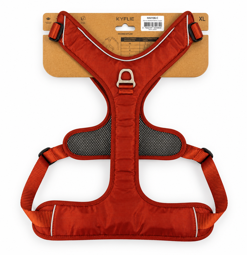 Harnais en Y Momentum Kyflie - Taille XL Seconde Patte