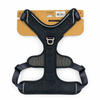 Harnais en Y Momentum Kyflie - Taille L Seconde Patte
