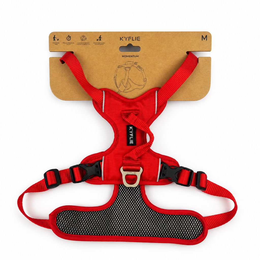 Harnais en Y Momentum Kyflie - Taille M Seconde Patte