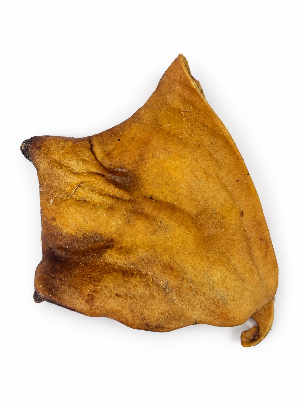 Plaque de peau de bœuf séchée - L / XL Seconde Patte
