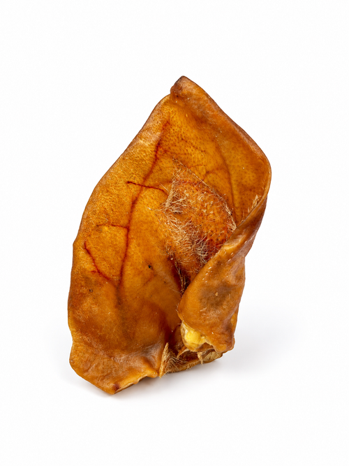Oreille de porc Seconde Patte
