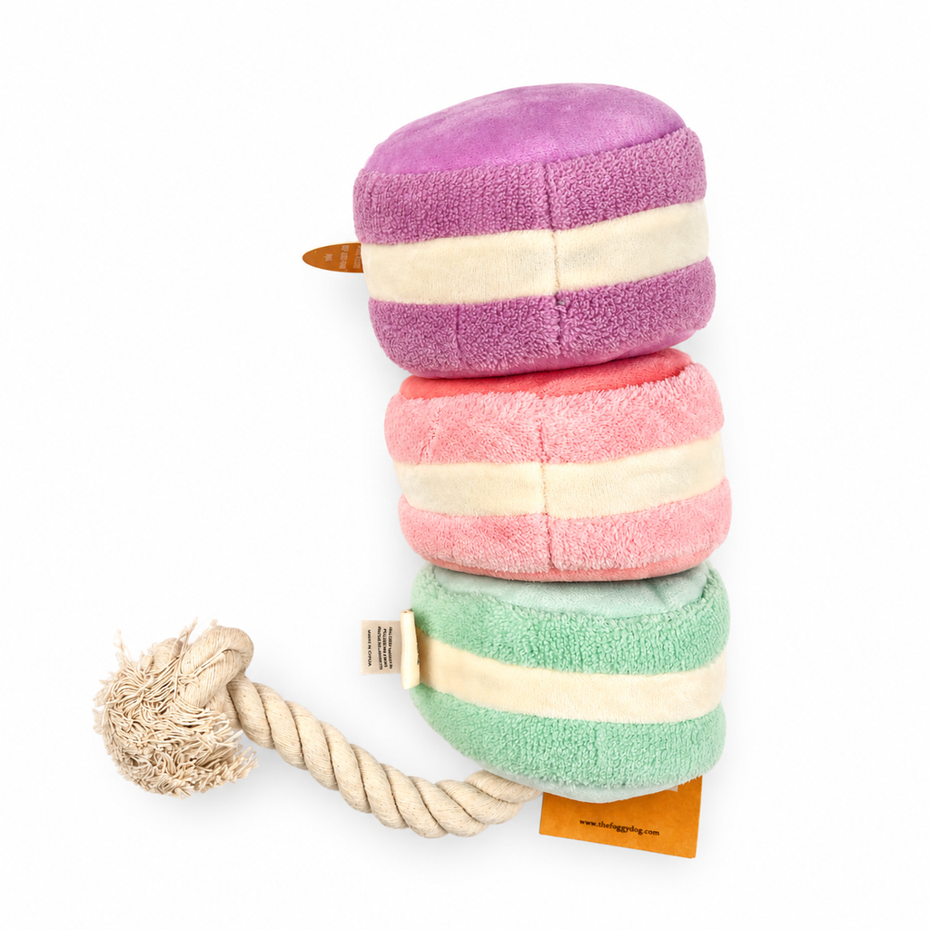Jouet de fouille Macarons – The Foggy Dog Seconde Patte