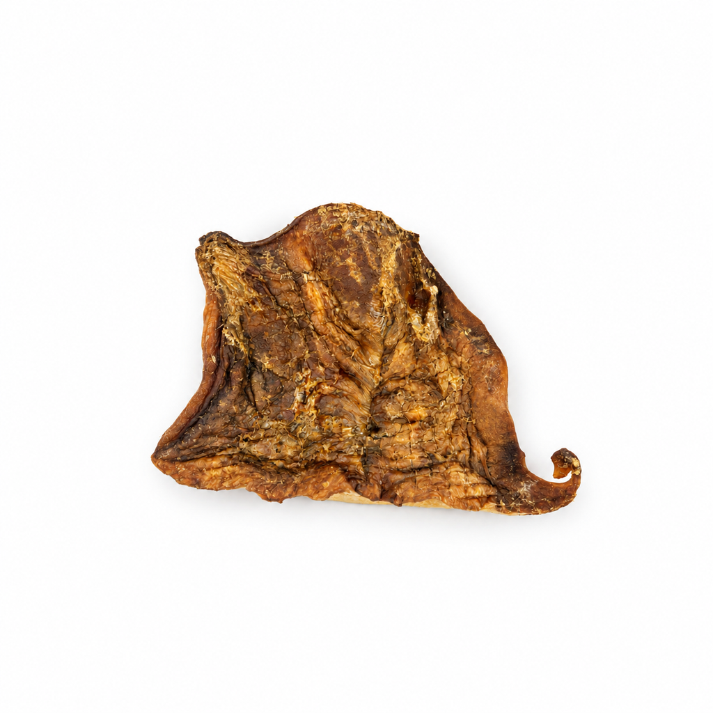 Plaque de peau de bœuf séchée - L / XL Seconde Patte