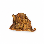 Plaque de peau de bœuf séchée - L / XL Seconde Patte