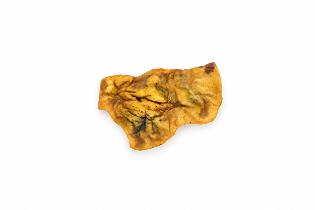 Plaque de peau de bœuf séchée - L / XL Seconde Patte