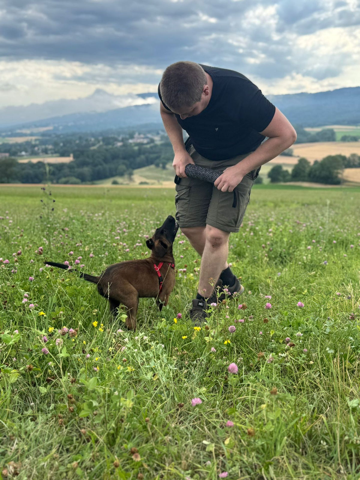 Éducateur canin qui joue avec un chiot malinois dans un pré, montagnes au fond