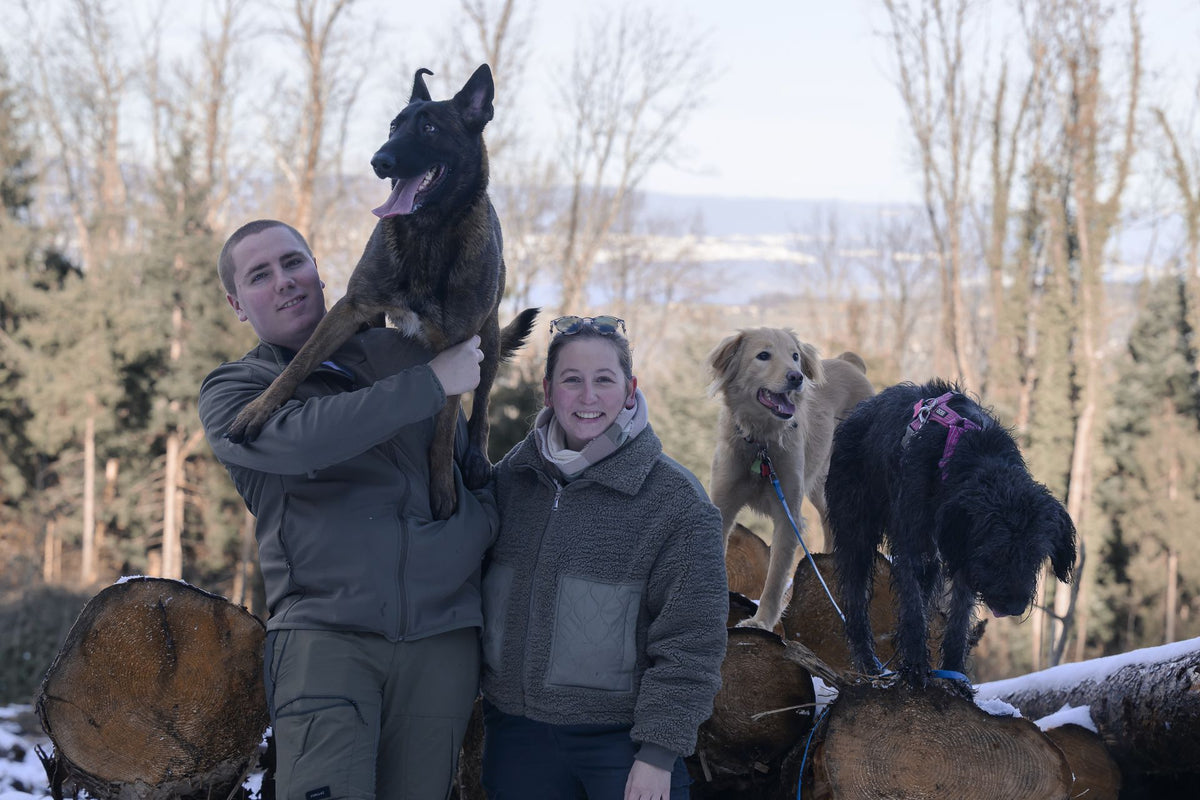 L'équipe de Seconde Patte avec trois chiens sur des rondins en forêt
