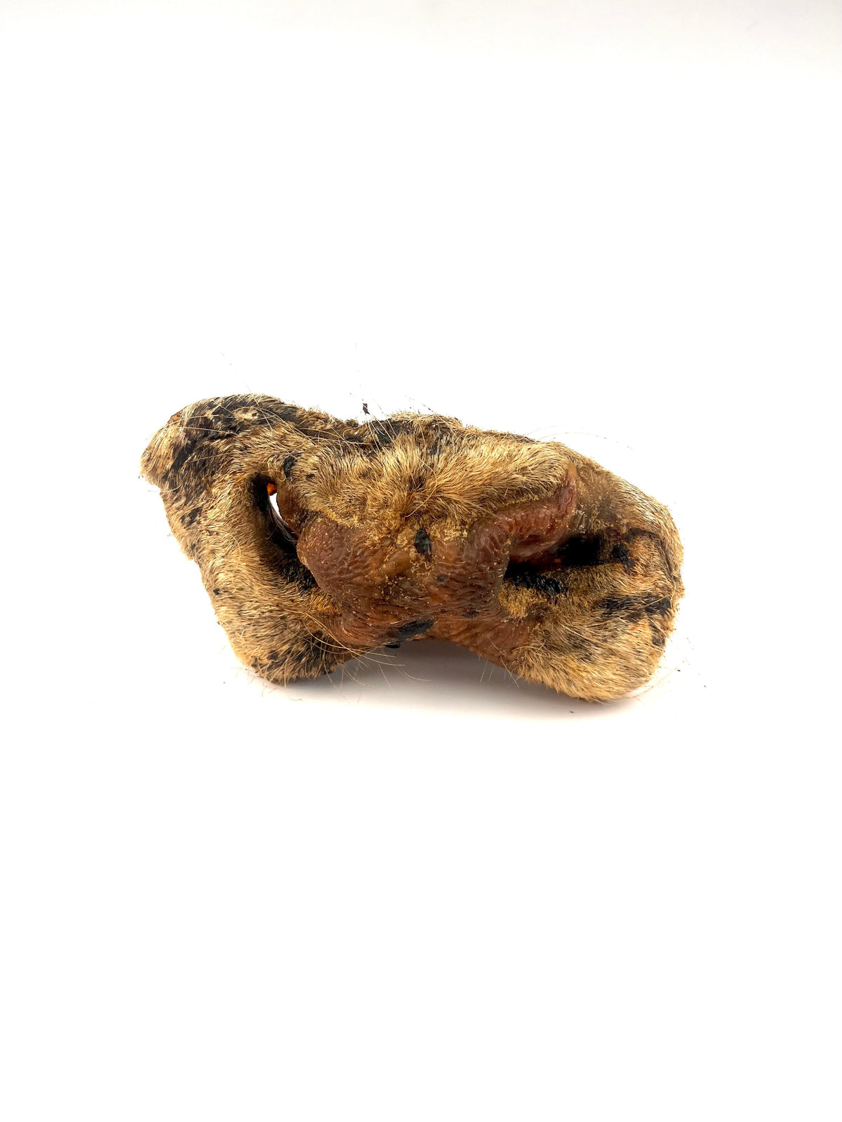 Museau de bœuf séché Seconde Patte