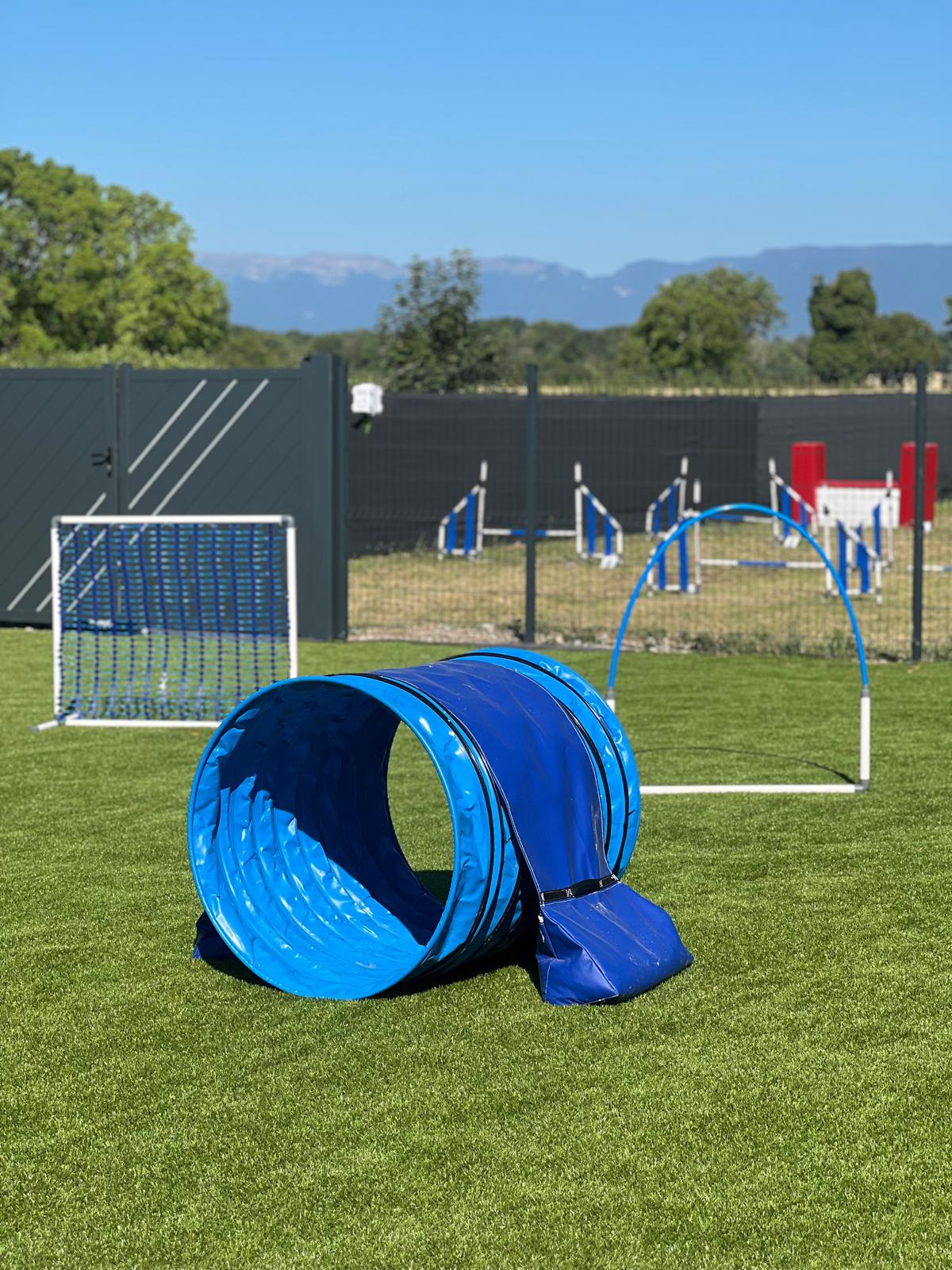 Tunnel d'agility bleu et arceau sur le gazon du parc, montagnes au loin