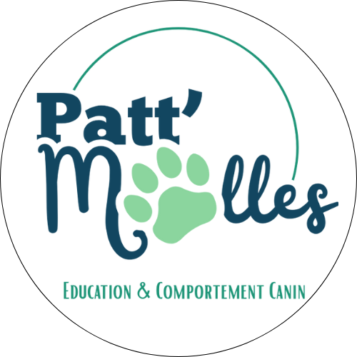Logo de Patt'molles, éducation et comportement canin