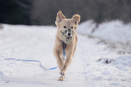 Éducation - Rééducation