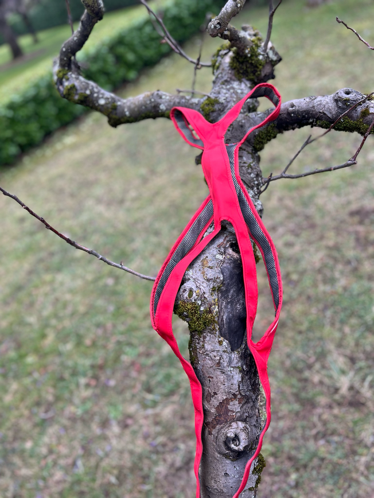 [1409.5678] Harnais traction Kyflie T12