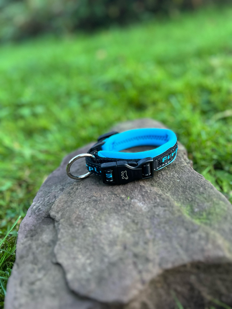 [31] Collier Ferplast S