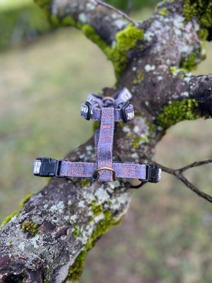 [1597] Harnais H Denim