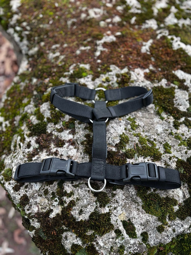 [263] Harnais H Nobby