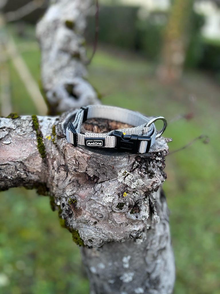 [655] Collier 26 - 42 cm