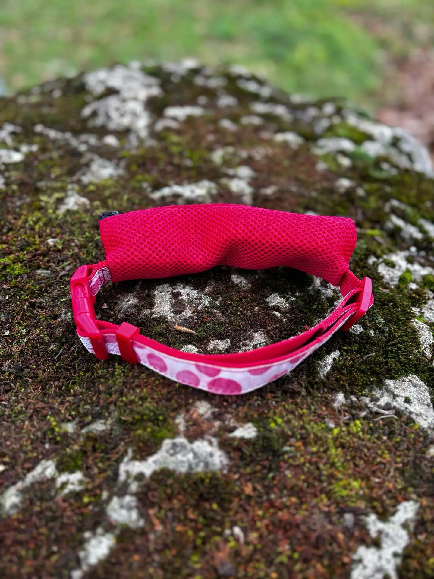 [1176-1-1-1] Collier avec laisse intégrée