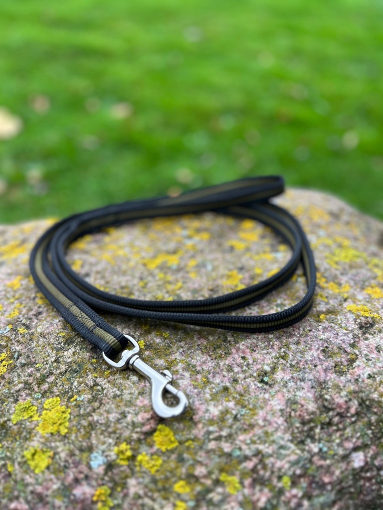 [80] Laisse noire/verte