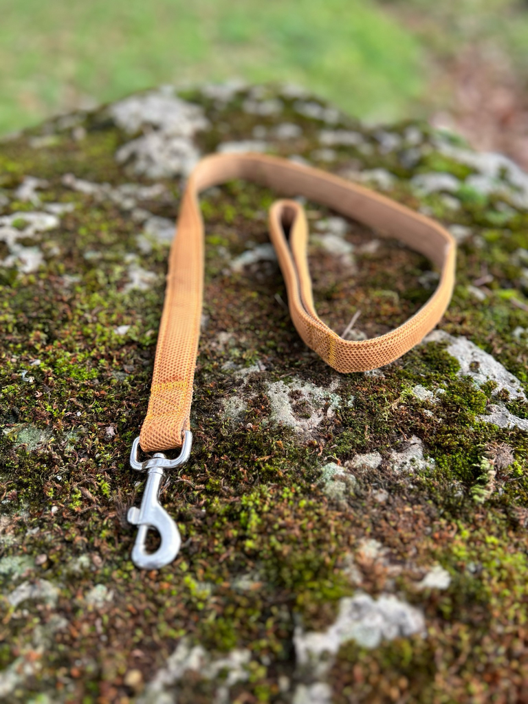 [250] Laisse orange rembourrée