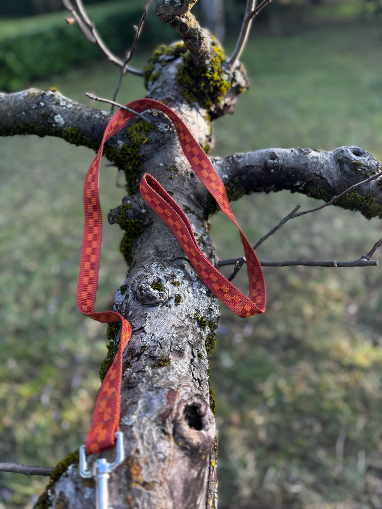 [1185] Laisse orange