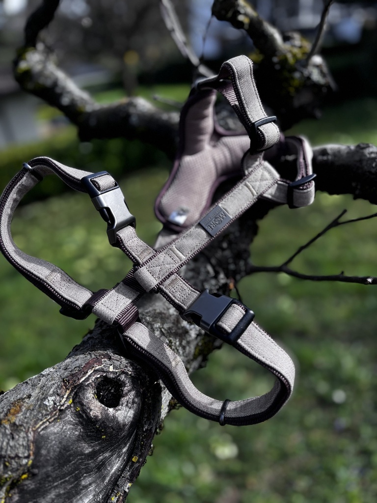 [2095.18] Harnais Moore Y XL