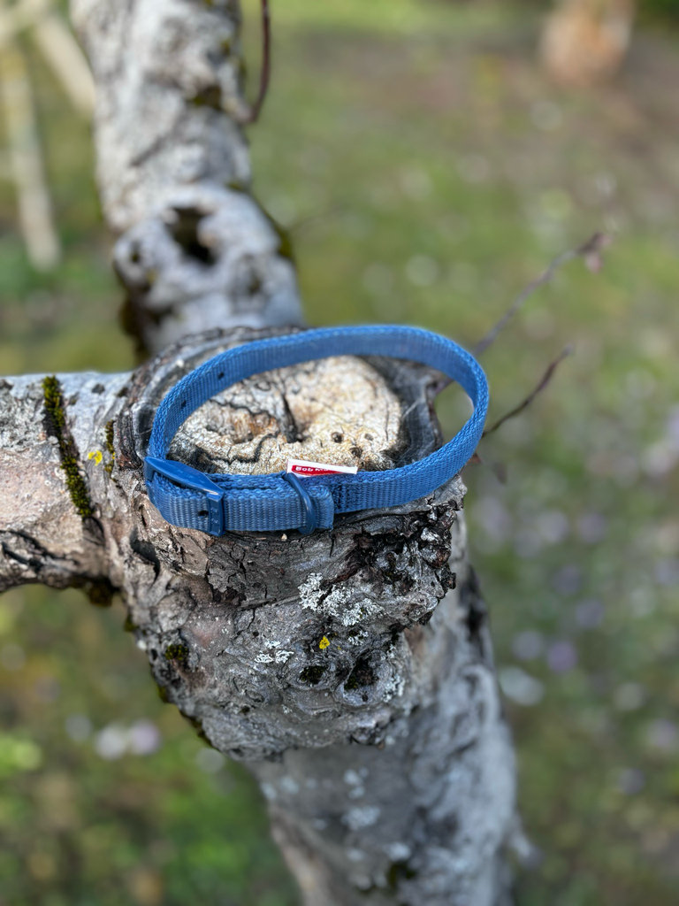 [000008-1-1-1-1-1-1-1] Collier 28 - 37 cm