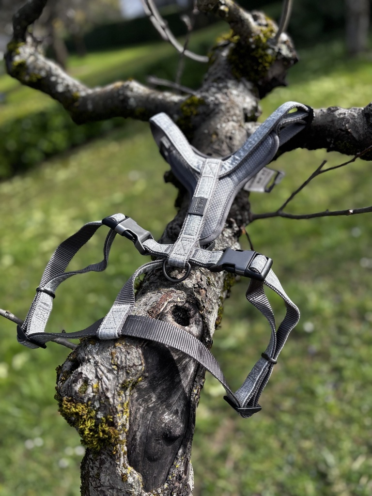 [2095.17] Harnais Moore Y XL