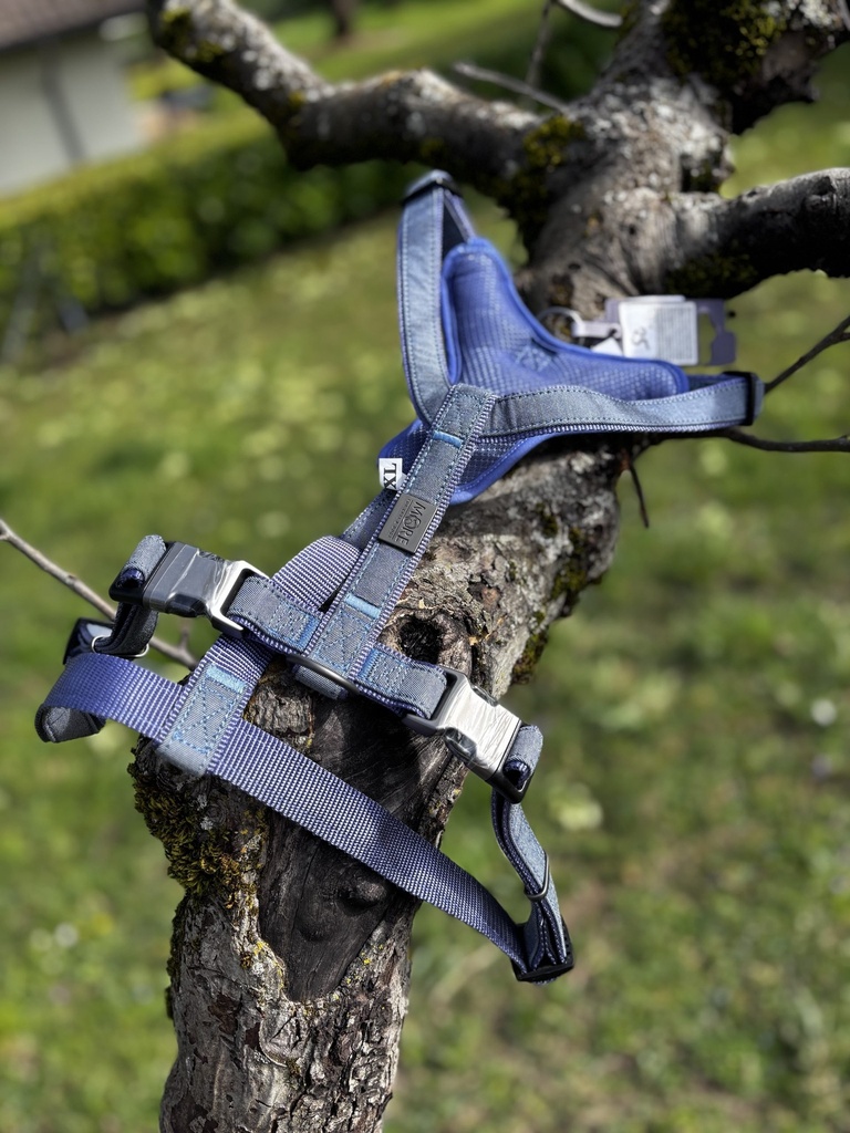 [2095.16] Harnais Moore Y XL