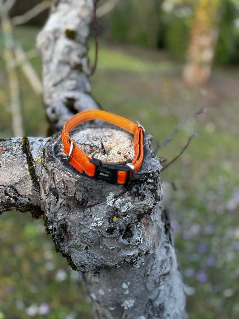 [1473] Collier simili-cuir orange M