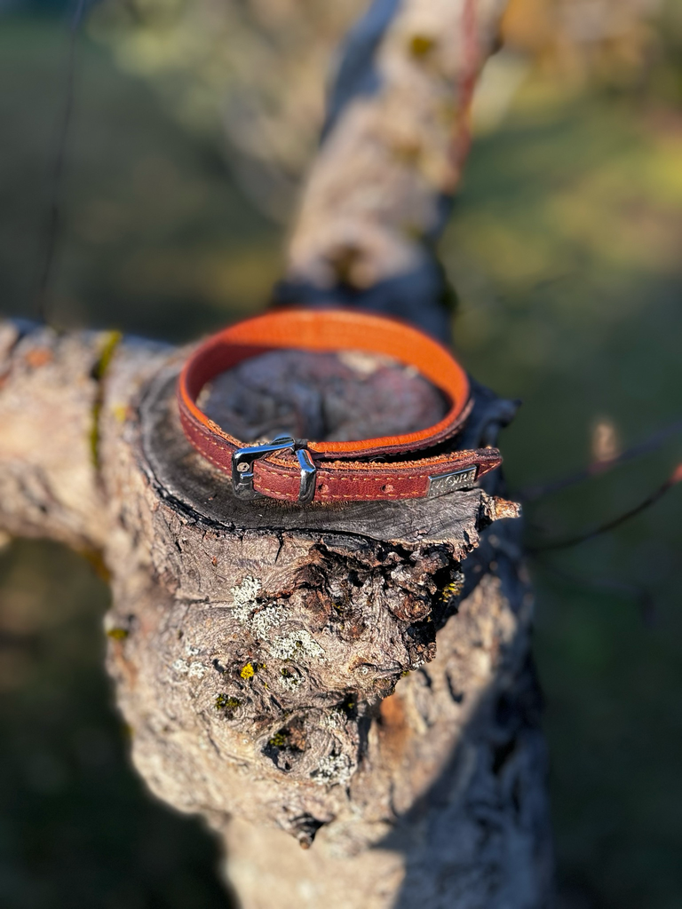 [1077] Collier cuir brun S