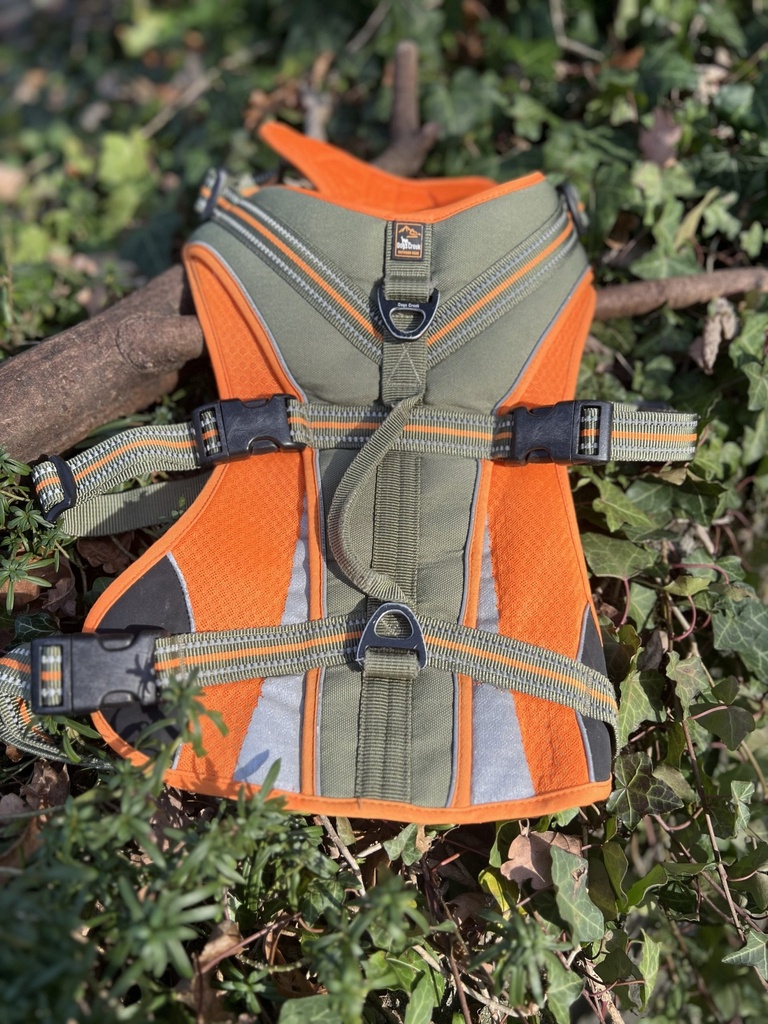 [2095.5] Harnais de sécurité XL