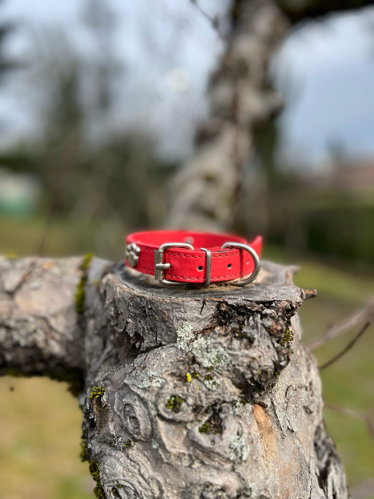 [1852] Collier cuir rouge M