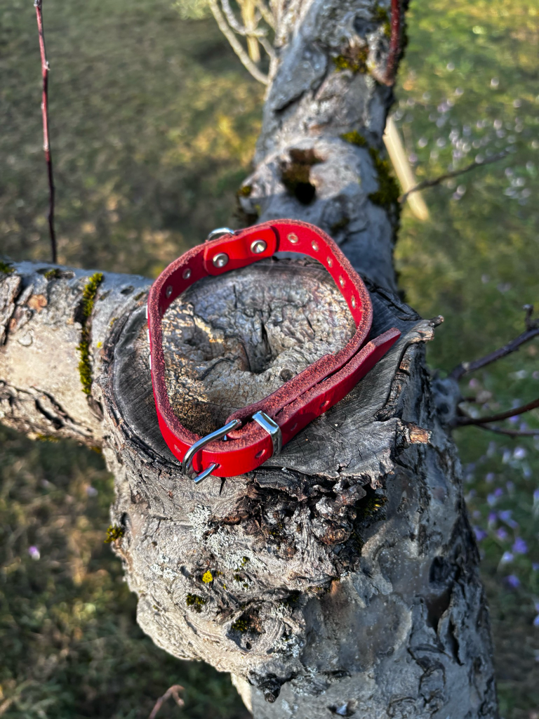 [1611] Collier cuir rouge M