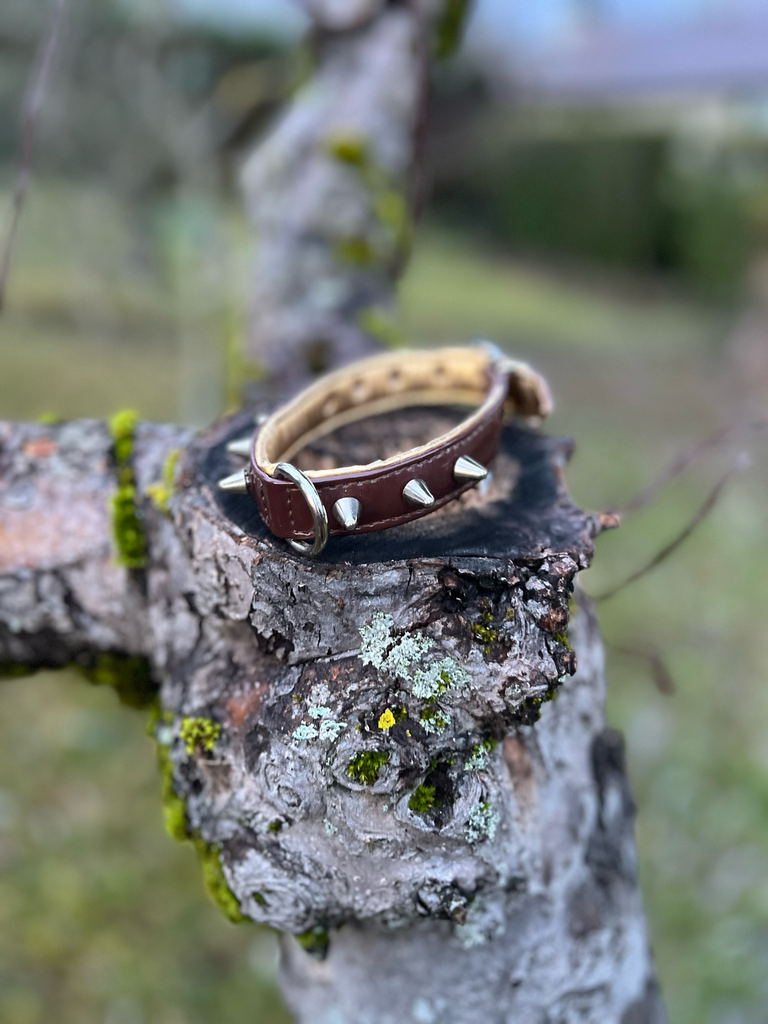 [1565] Collier vernis brun S