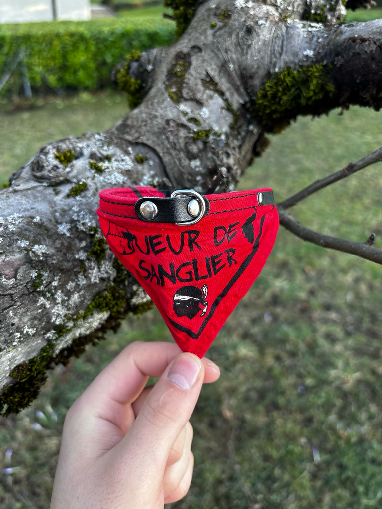 [1165] Collier cuir foulard rouge S