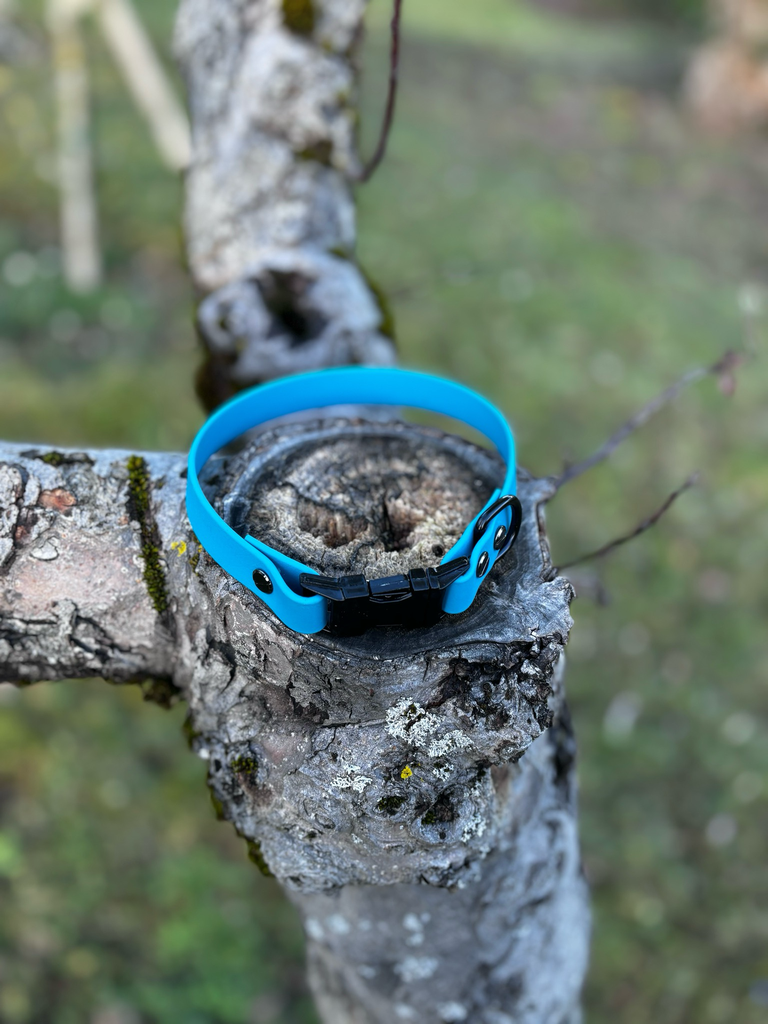 [1357] Collier Biothane bleu 38cm