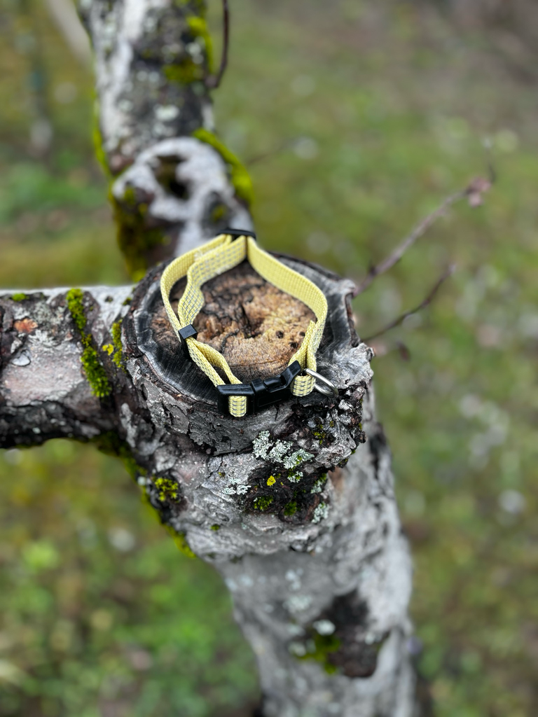 [000008-1-1-1-1-1-1-1-1-1-1-1-1-1-1-1-1-1-1-1] Collier tissus jaune 24 - 39cm