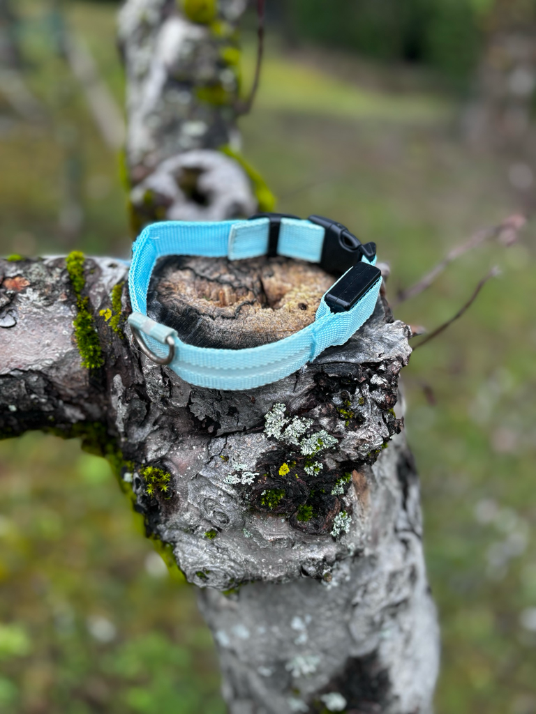 [1194-1] Collier lumineux bleu 29-37cm