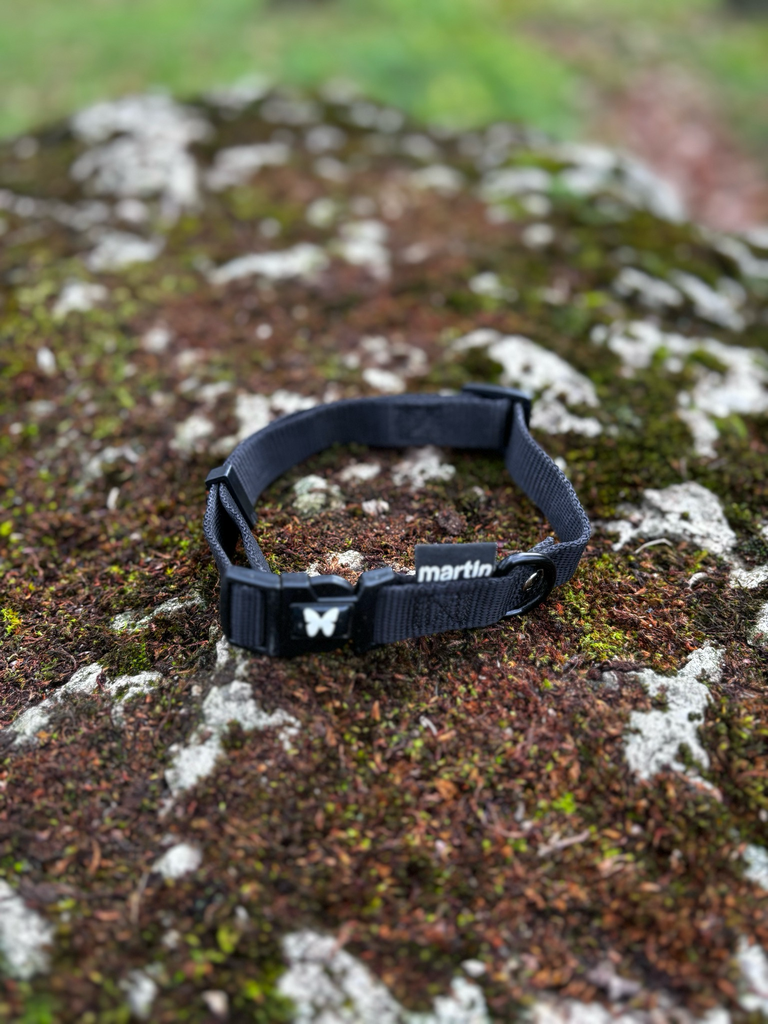 [000008-1-1-1-1-1-1-1-1-1-1-1-1-1-1-1-1-1-1-1-2-1-1] Collier 36-54cm