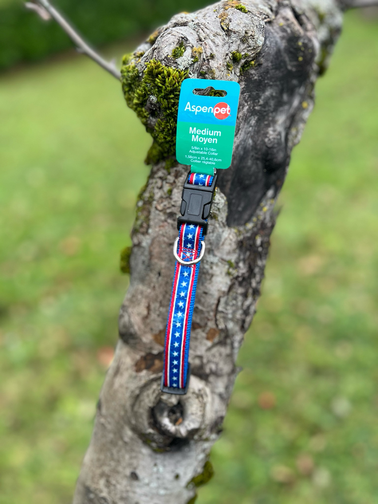 [493] Collier 25 - 40 cm