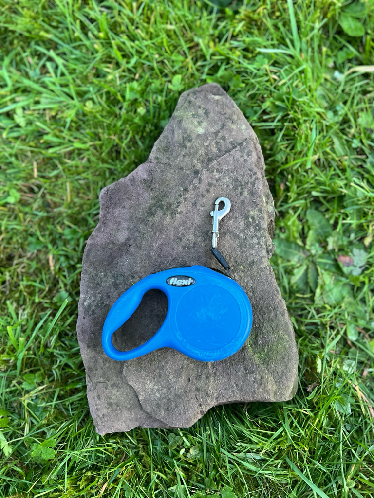 [collier2-1-1-1-1-1-1-1-1-1-1] Flexi XS 3 m