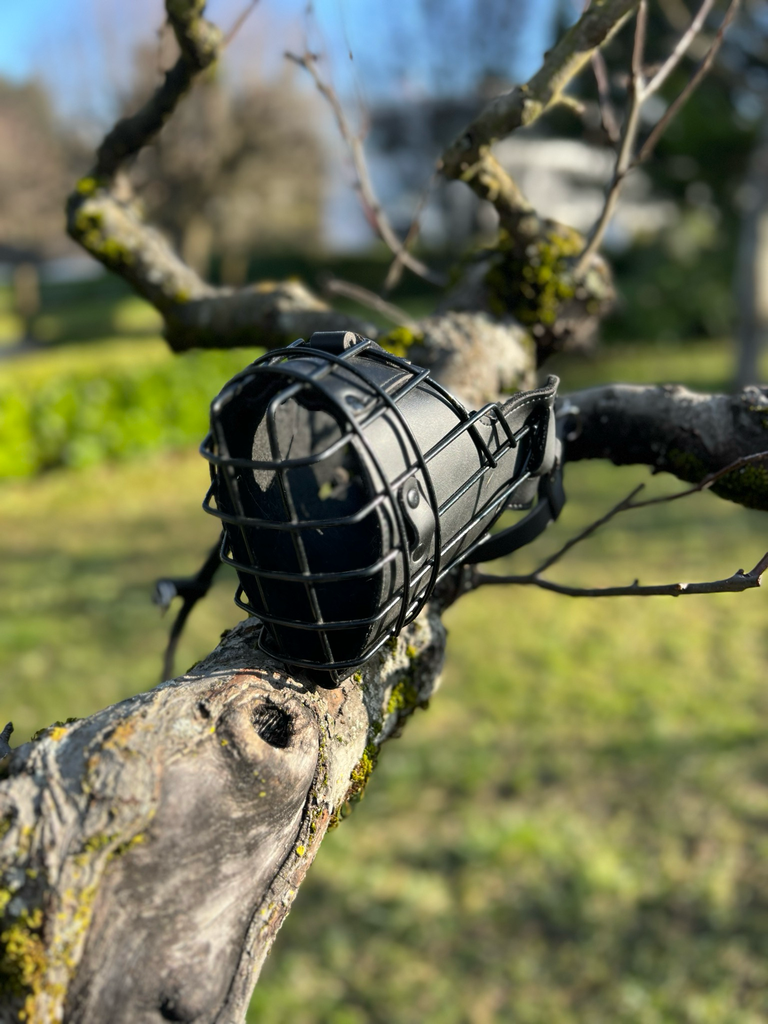 [collier2-1-1-1-1-1-1-1-1-1-1-1-2-1-1-1-1-1-1-1-1-1-1-1-1-1-1] Muselière cage L XL