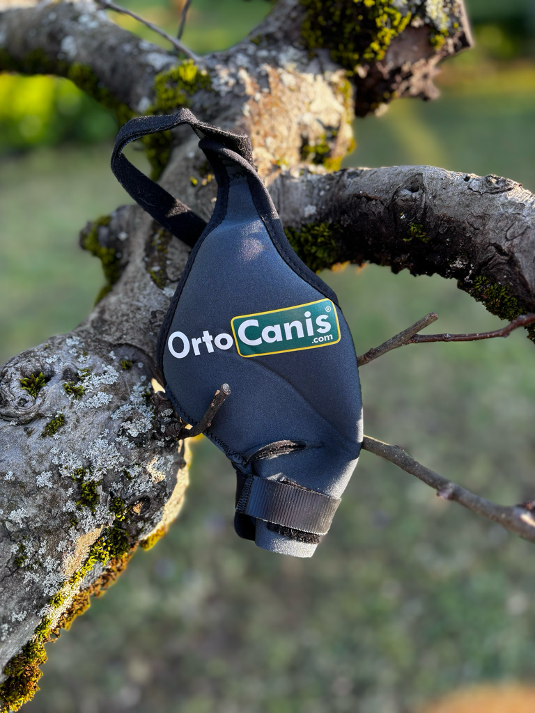 [balto-1] Attelle 15kg