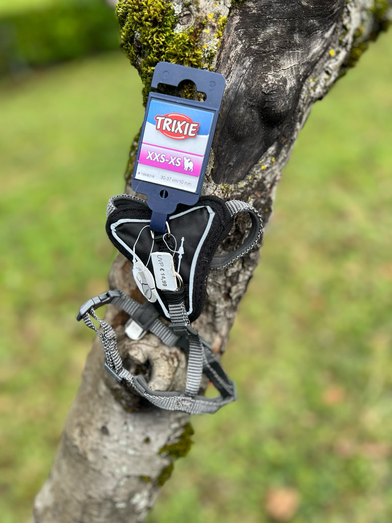 [H-1-0] Harnais XXS-XS