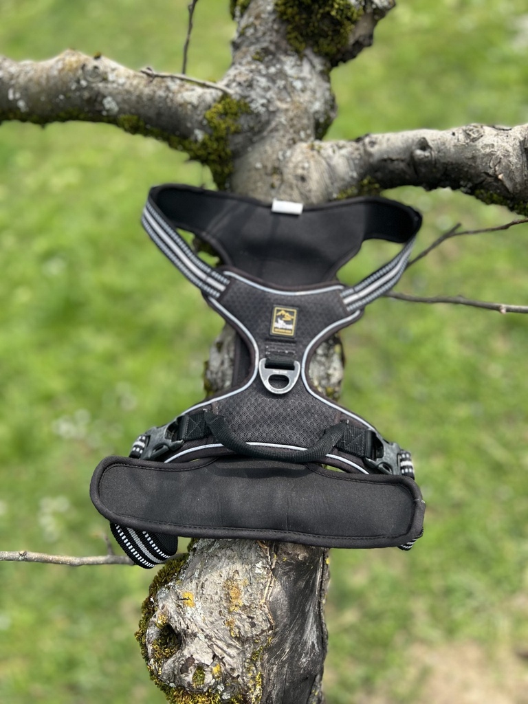 [2018.dn] Harnais dogs creek XL